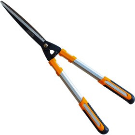 تصویر شمشاد زن 