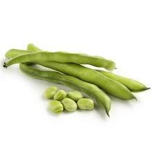 تصویر باقلا 