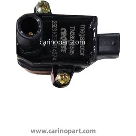 تصویر کوئل شاهین کروز 