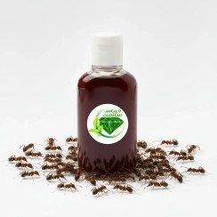 تصویر روغن مورچه اصل | 100 میلی لیتری | الماس سلامت 