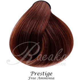 تصویر رنگ مو گیاهی نیو پرستیژ قهوه ای طلایی روشن شماره 5.5 حجم 100 میلی لیتر New Prestige Light Golden Brown Herbal Hair Color No.5.5 100ml