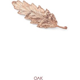 تصویر گل سینه برگ بلوط کد JL.JBC.01137 