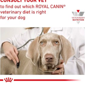 تصویر غذای خشک سگ هپاتیک رویال کنین 1.5 کیلویی Royal Canin Hepatic 1.5kg