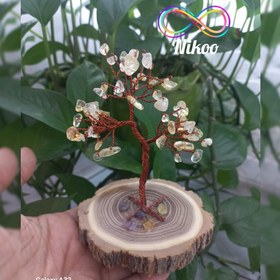 تصویر درختچه سیترین پایه چوبی 