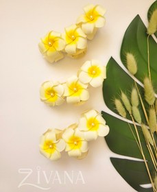 تصویر کلیپس فومی سه گله کد 10031142 