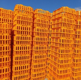 تصویر سبد حمل مرغ زنده مدل 2050 