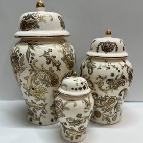 تصویر جینجرجار بوته جقه طلایی 