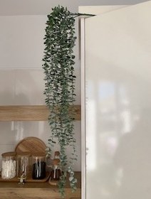 تصویر آویز شمشاد سبز 