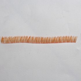 تصویر مژه ریسه ای رنگی 