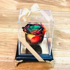 تصویر قیمت گل های رز جاودان a1087 