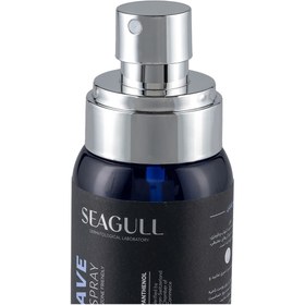 تصویر اسپری نرم کننده پس از اصلاح آقایان حجم 150 میلی لیتر سی گل Seagull Aftershave Softening Spray for Men 150ml