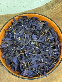 تصویر گل گاوزبان 