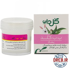 تصویر پماد ب ب کلد 28 گرمی گل دارو _ Goldaru Be Be Cold Ointment 