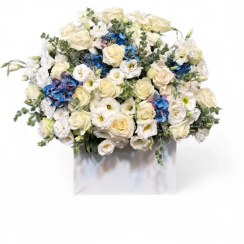 تصویر باکس هورتانسیا 