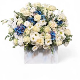 تصویر باکس هورتانسیا 