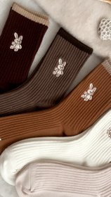 تصویر خرگوشی - عسلی 