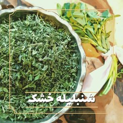 تصویر شنبلیله خشک بدون خاک 