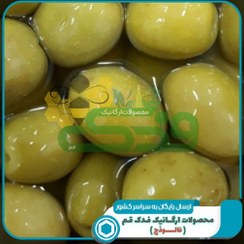 تصویر زیتون ویژه 5ستاره فدک (3900 گرم) (یکاسه) 