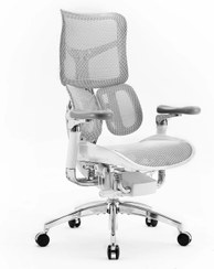 تصویر صندلی ارگونومیک SIHOO S300 مشکی و سفید 