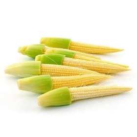 تصویر بی بی کورن تازه 