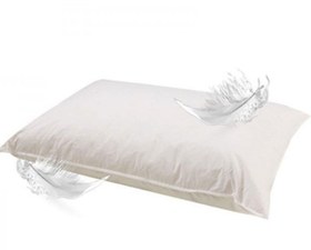 تصویر بالش پر سنتی 