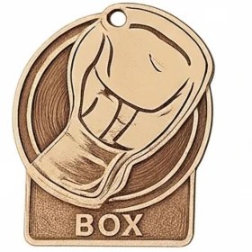 تصویر مدال قهرمانی بوکس 