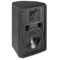 تصویر بلندگو پسیو دایناکورد DYNACORD D12 Passive Speaker DYNACORD D12