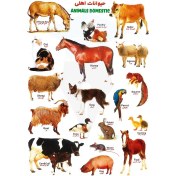 تصویر برچسب آموزشی حیوانات اهلی کد 022 