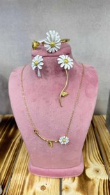 تصویر ست کامل بابونه 