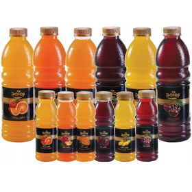 تصویر پت ۱۰۰۰سی‌سی 