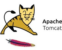 تصویر هاست حجمی اختصاصی تامکت ا Host Apache_Tomcat Host Apache_Tomcat
