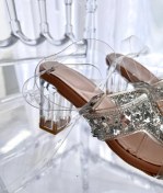 تصویر رکابدار طلقی 