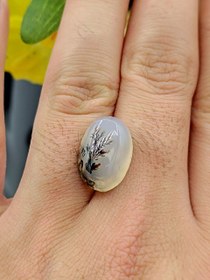 تصویر نگین شجر طبیعی کد ۱۲۰۸۶ 