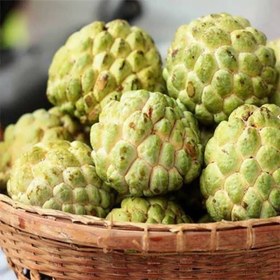 تصویر بذر سیب شیرین (سیب کاستارد) 2 عددی 