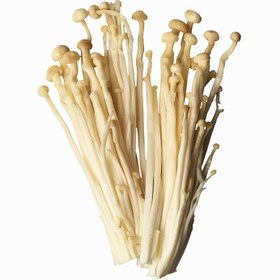 تصویر قارچ انوکی 60 گرم 