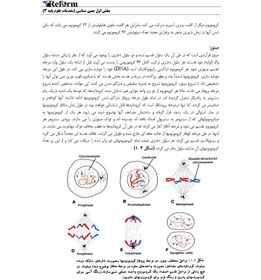 تصویر جنین شناسی 