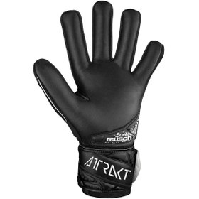 تصویر دستکش دروازه بانی راش اورجینال سایز ۸-۹-۱۰ - سایز Reusch goalkeeper gloves