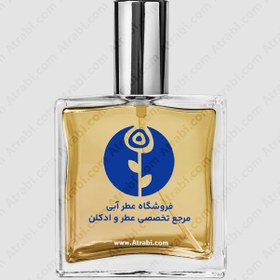 تصویر عطر شان جان انفورگیوبل مردانه – Sean John Unforgivable Men 