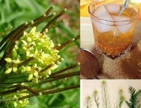 تصویر خاکشیر درجه یک (100گرمی) 