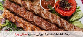 تصویر بانک اطلاعات شماره موبایل کبابی استان یزد 