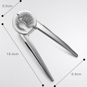 تصویر 406-13 گردو شکن 