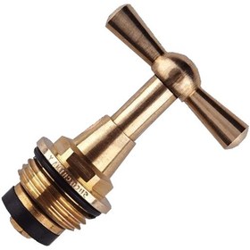 تصویر مغزی شیر حیاطی مدل BRNJ1/2 