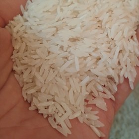 تصویر برنج فجر Fajr rice