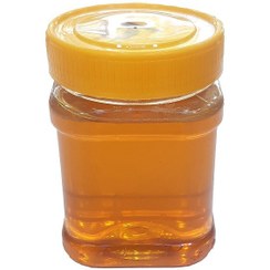 تصویر عسل طبیعی ماهور خلخال بدون موم یک کیلویی 