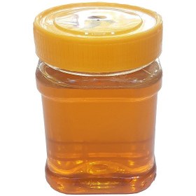 تصویر عسل طبیعی ماهور خلخال بدون موم یک کیلویی 