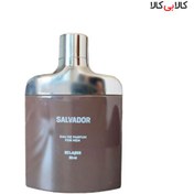 تصویر عطر جیبی تلگرامی اسکلاره سالوادور مردانه حجم 30 میلی لیتر ا Sclaree Salvador Eau De Parfum for Men 30ml Sclaree Salvador Eau De Parfum for Men 30ml