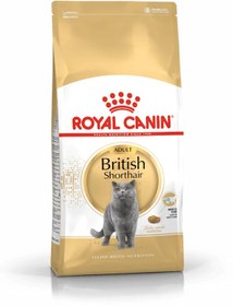 تصویر رویال کنین بریتیش بالغ Royal Canin British Shorthair 2kg 