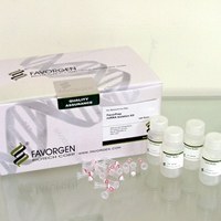 تصویر کیت استخراج Favorgen, miRNA Isolation Kit کد FAMIK 002 