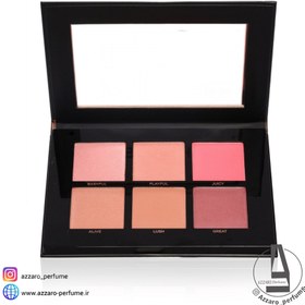 تصویر پالت رژگونه شش رنگ پروفیوژن Profusion PROFUSION Cosmetics BLUSH PALETTE