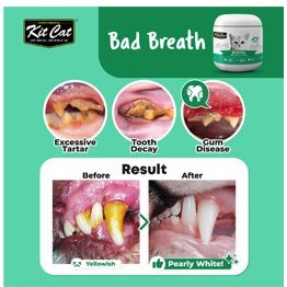 تصویر پودر دنتال تکی KitCat 